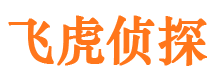 洱源市调查公司